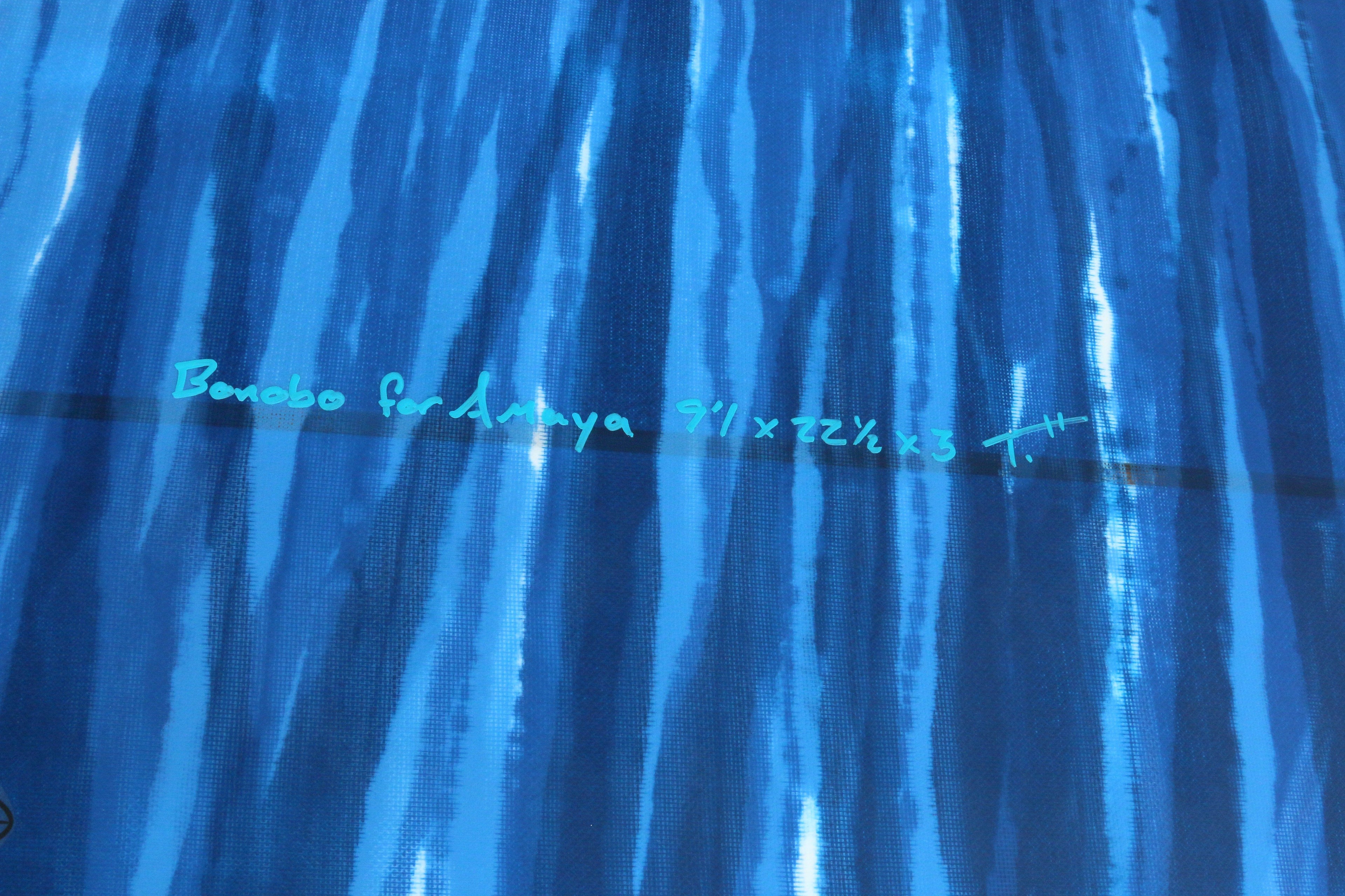 Locus Eco Surfboards - Western Flyer Bonobo Longboard 9&