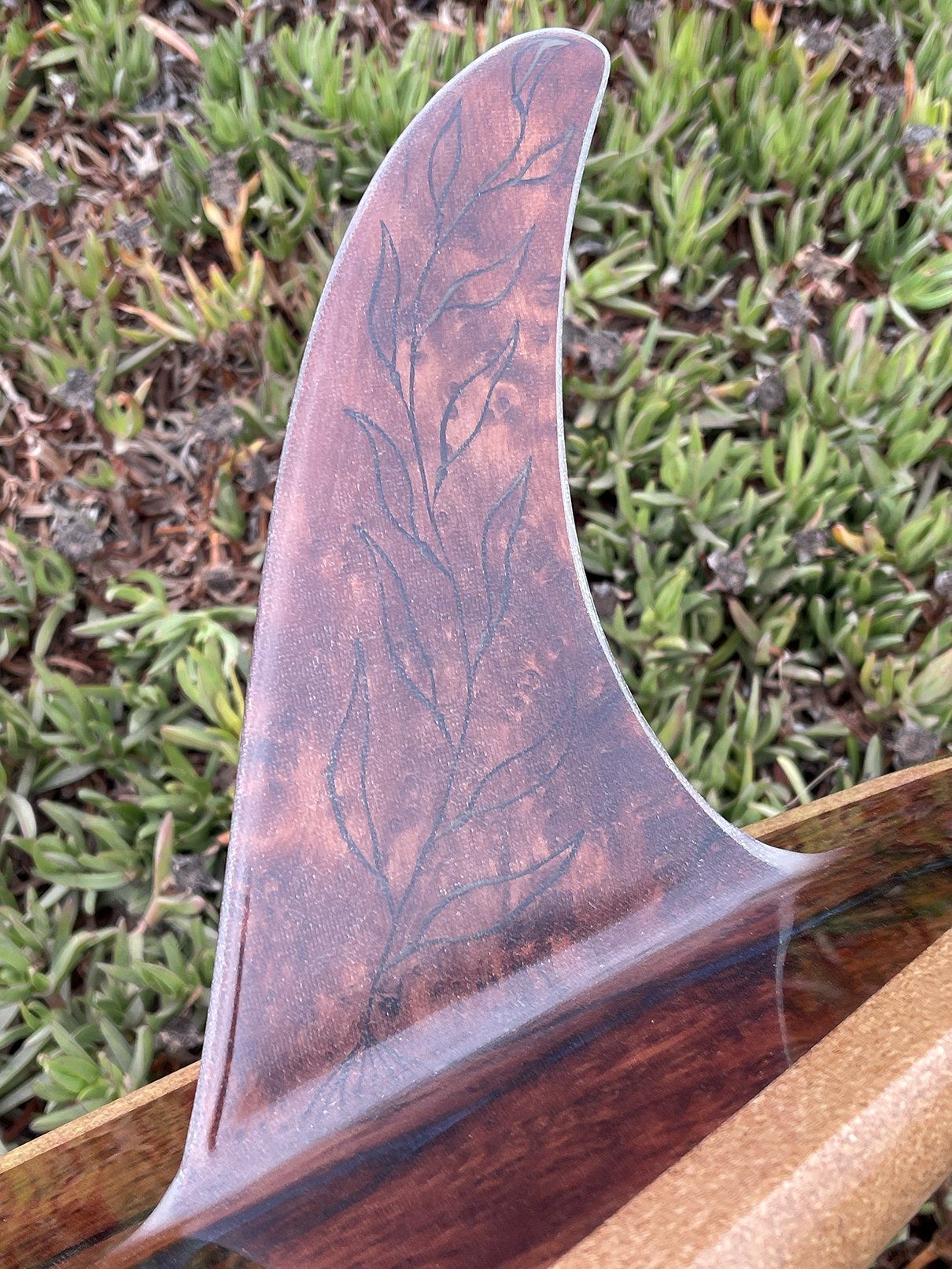 Ascher Kelp Forest Bolt 7&