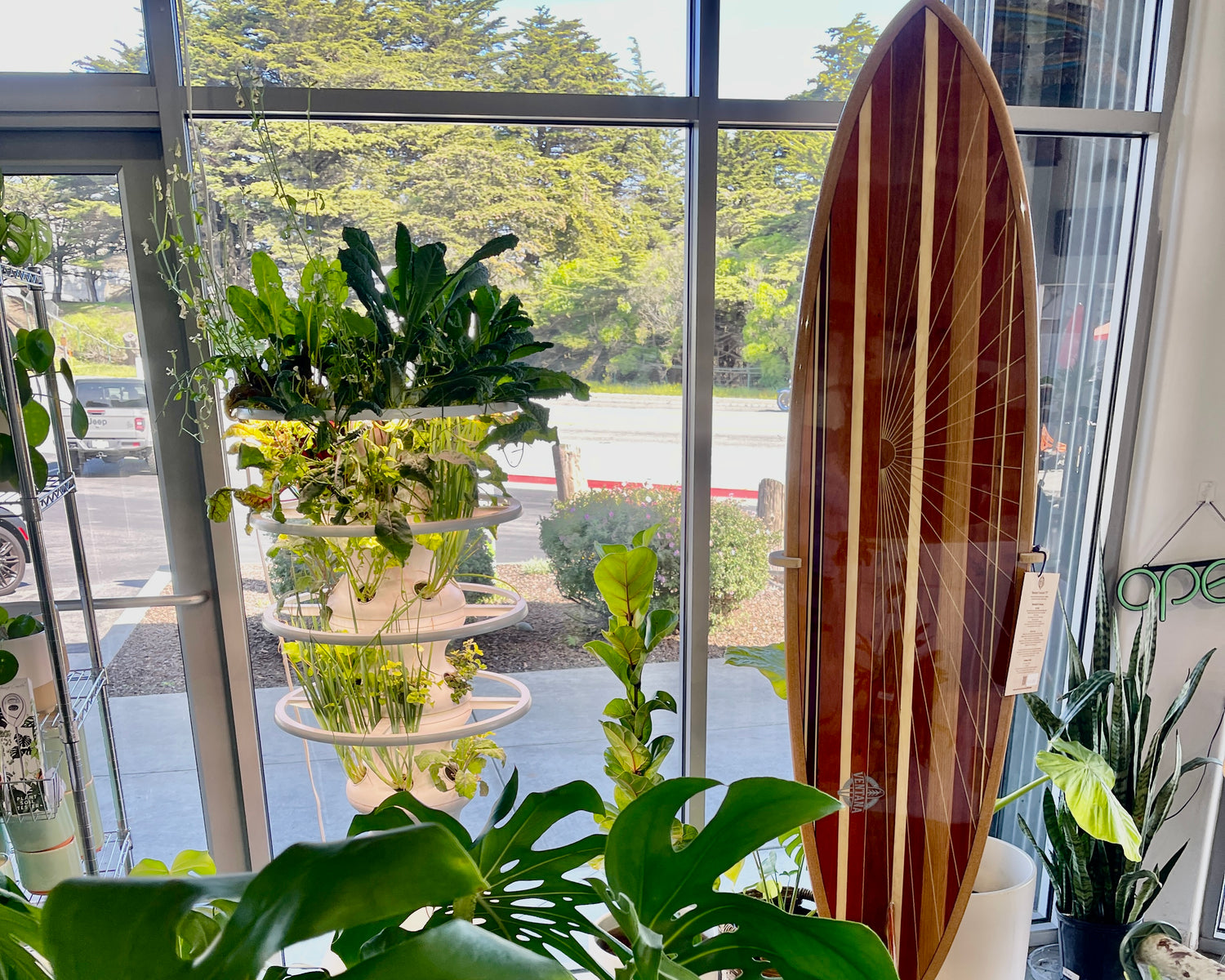 10 Reasons Why Sustainability in Interior Design Matters