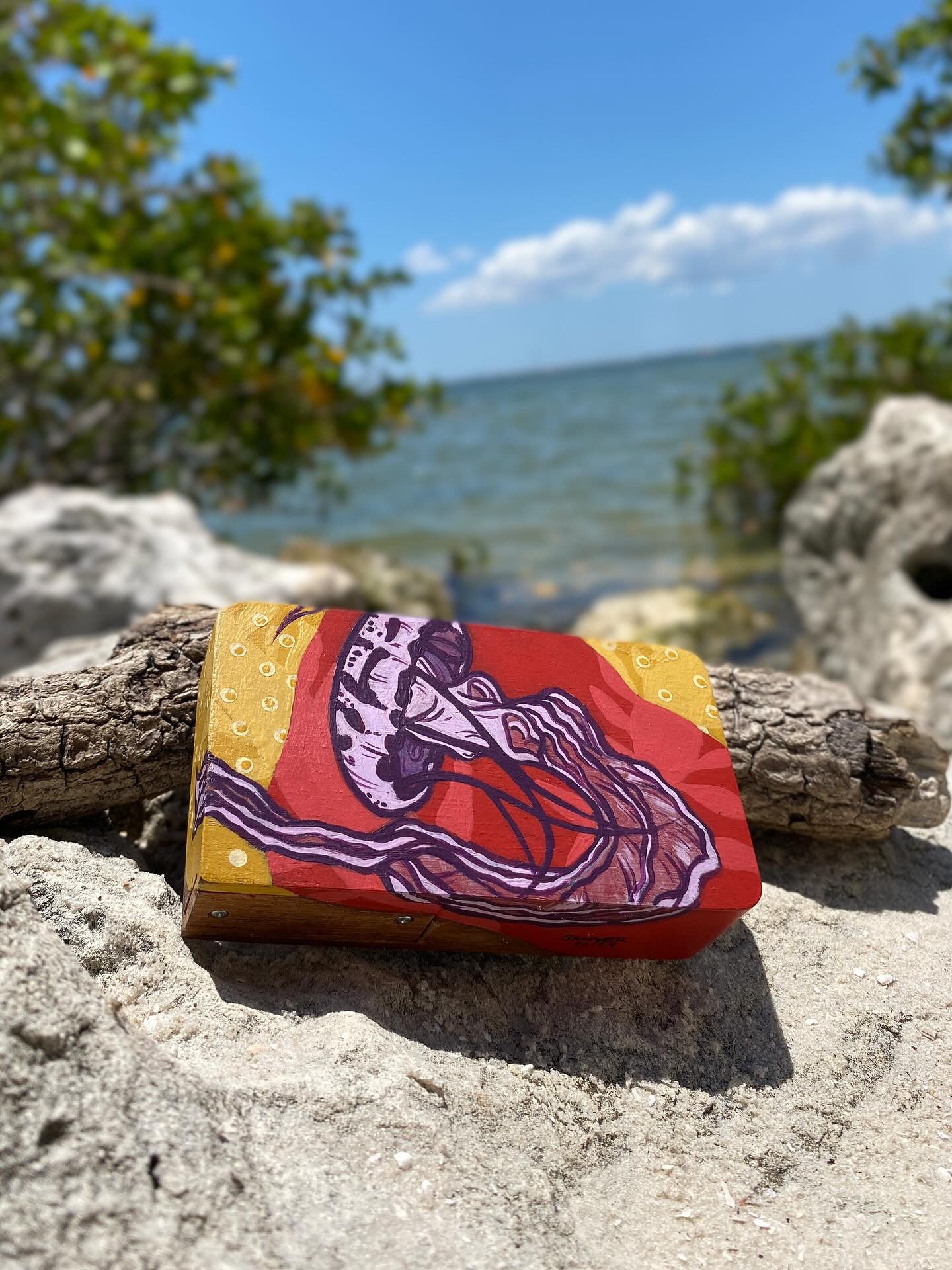 Ventana Wave Pocket Art Amp by Michelle Sawyer