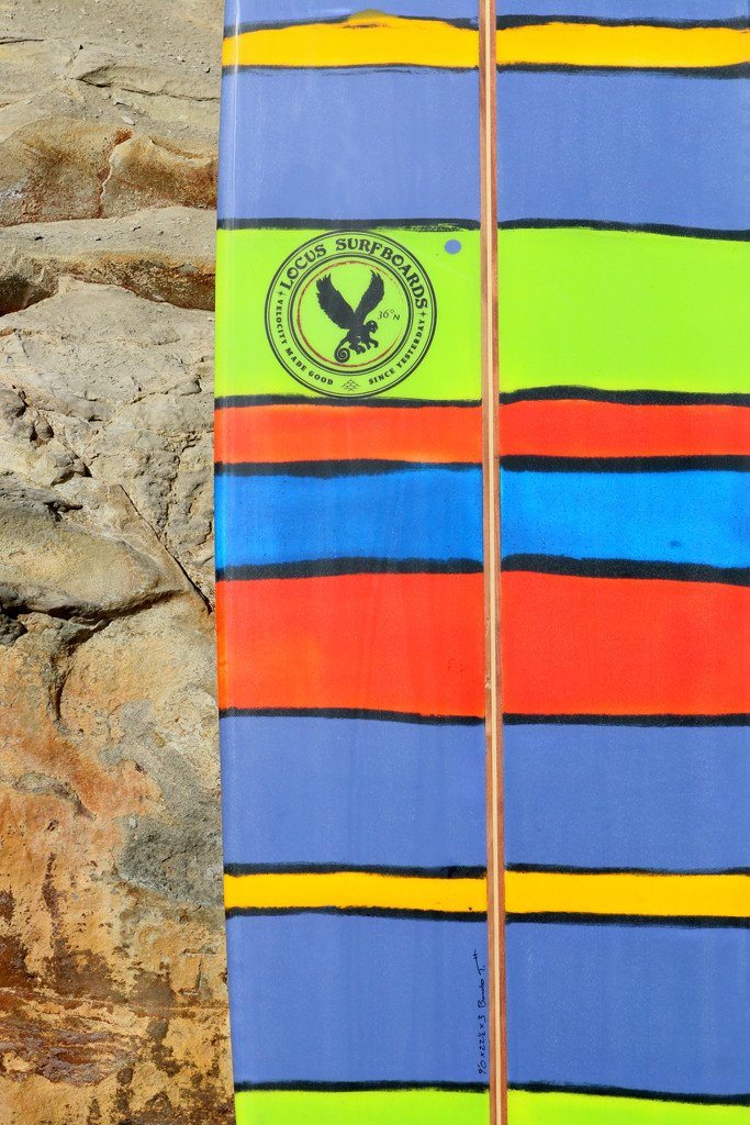 Locus Eco Surfboards - Bonobo Longboard 9&