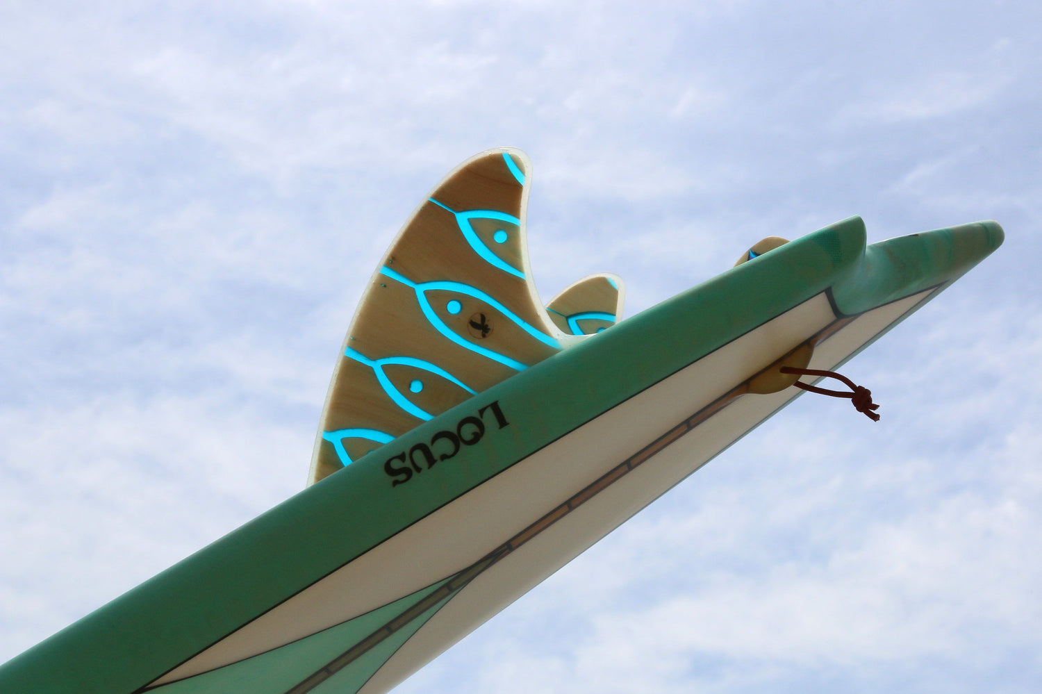 Locus Eco Surfboards - Hocus Pocus Asymmetrical Hull 8&