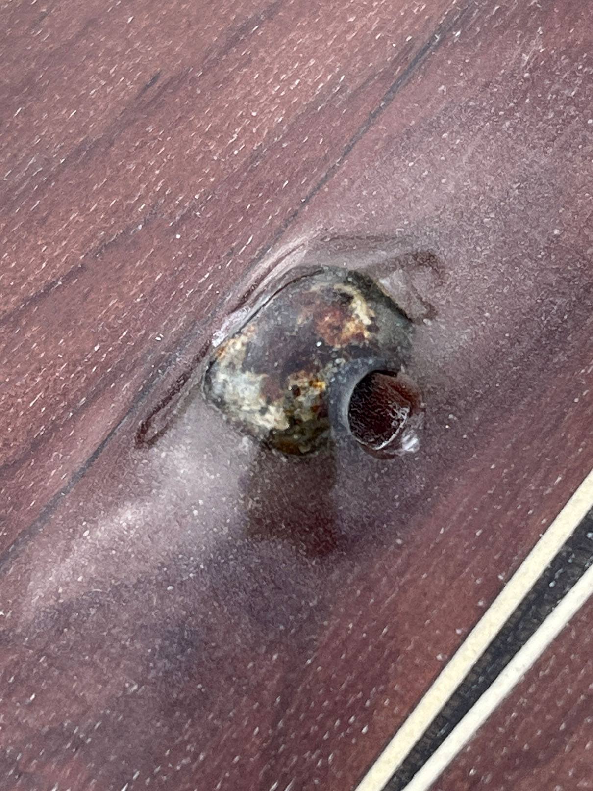 Ascher Kelp Forest Bolt 7&